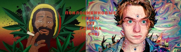 PSILOCYBIN Горнозаводск