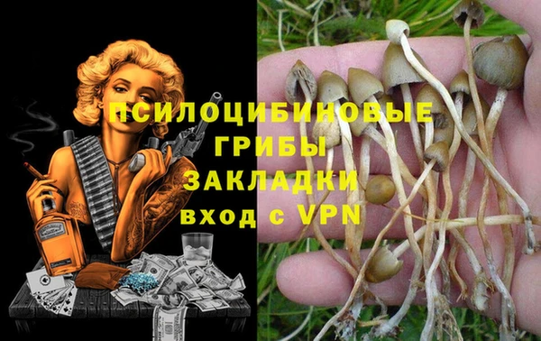 PSILOCYBIN Горнозаводск